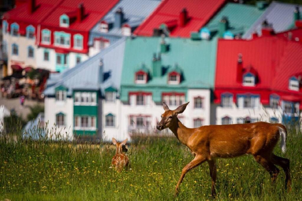 Deluxe Suite-Sur-Lac Superieur - Tremblant Versant Nord Экстерьер фото